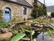 Bassin avec terrasse